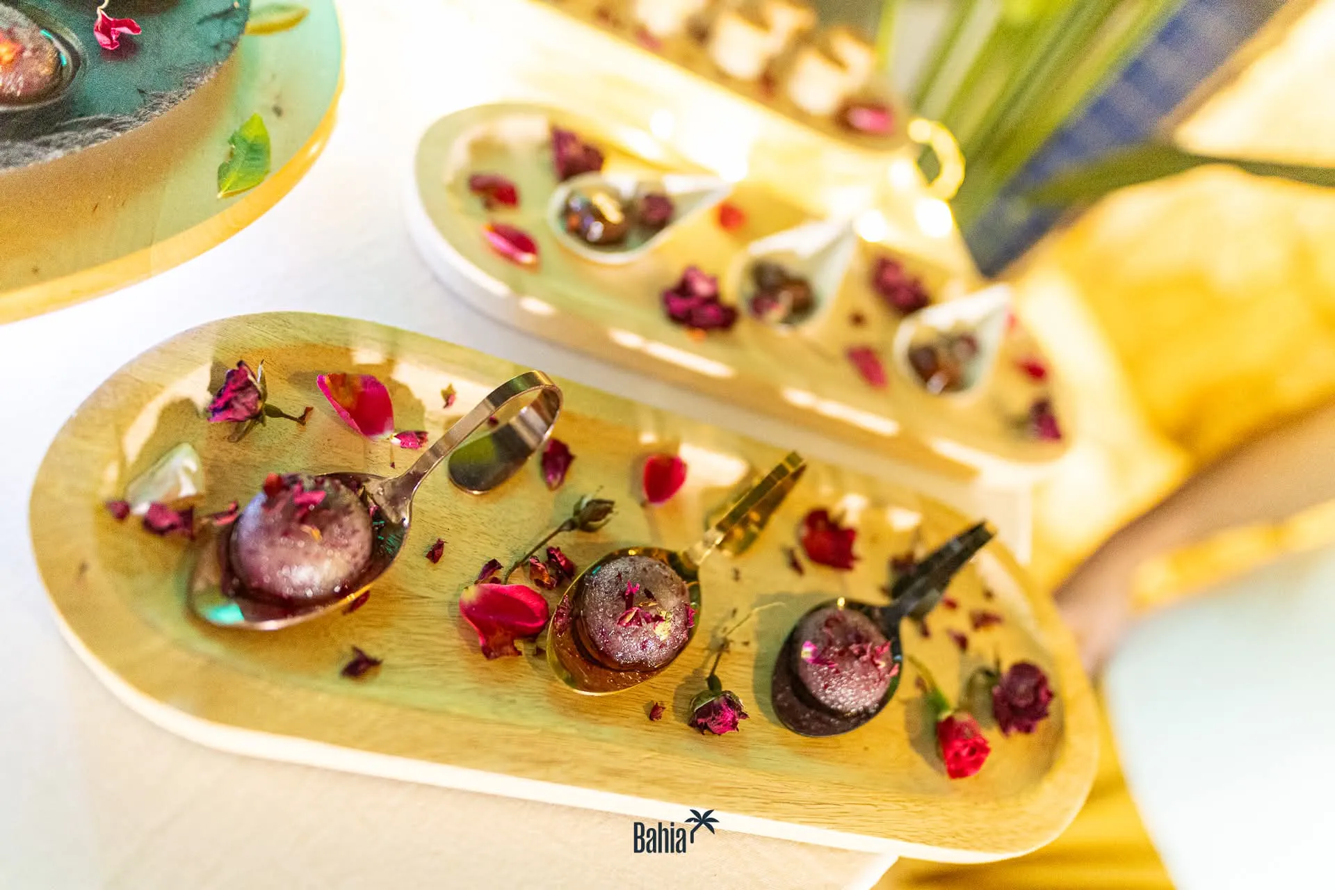 Saunamistr wellness nabídky - Luxury Training Experience